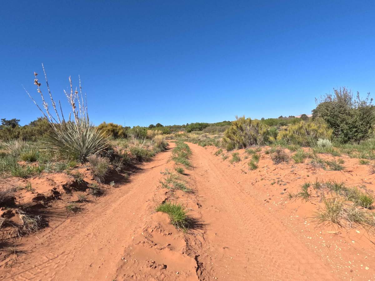 BLM 73  photo 6