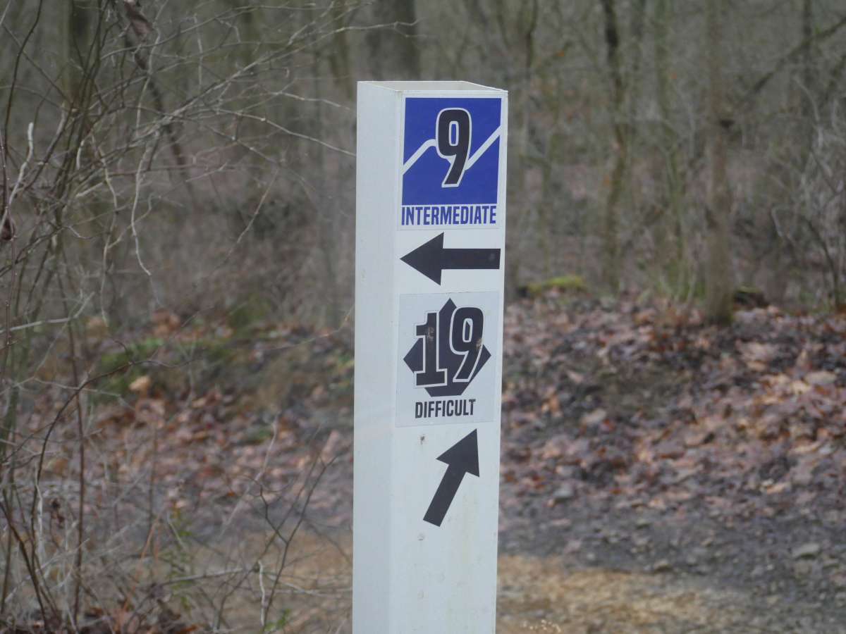 Trail 9 photo 5