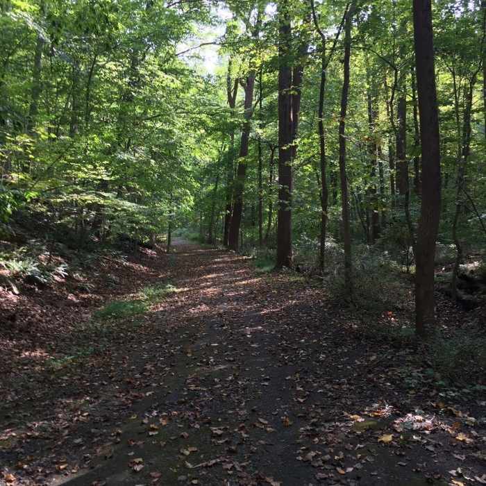 Near Kate Kennard Trail