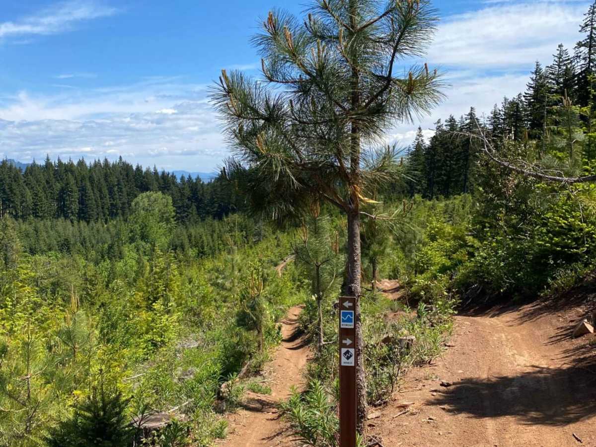 Hood River OHV 160 to 140 to 133 trail photo