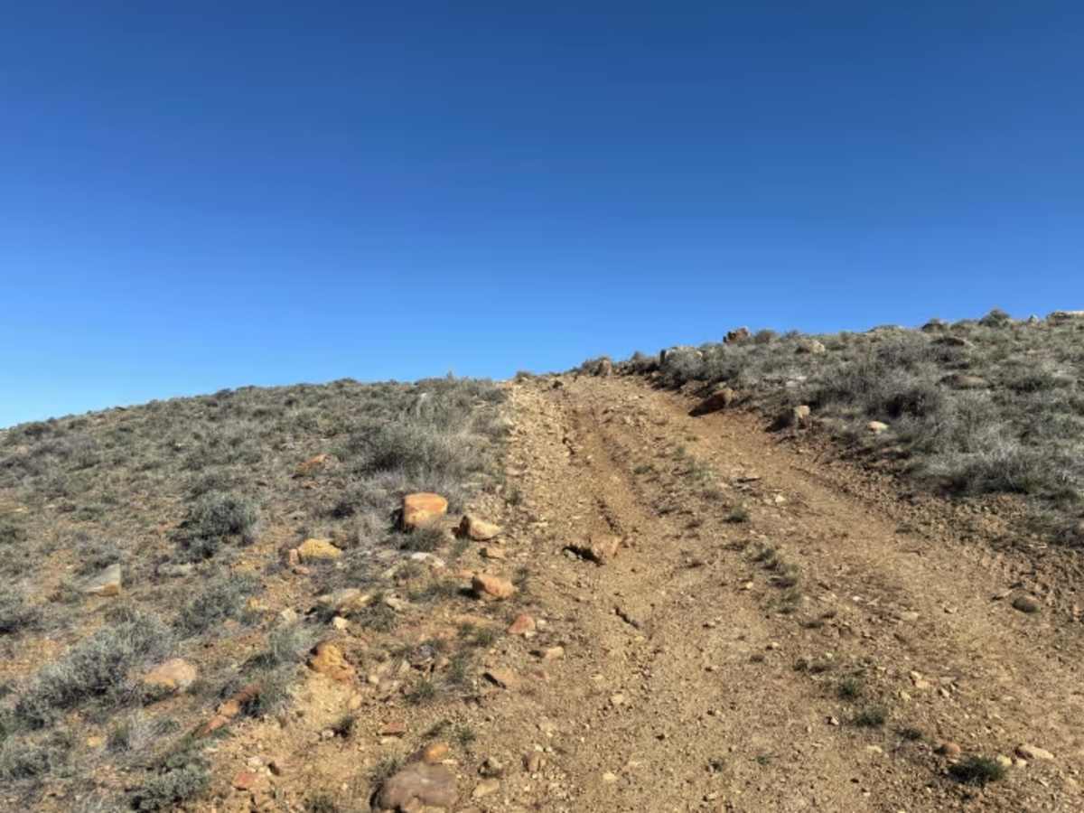 BLM 124 photo 4