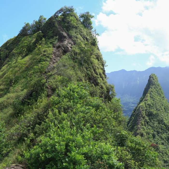 Near Olomana Three Peaks Hike