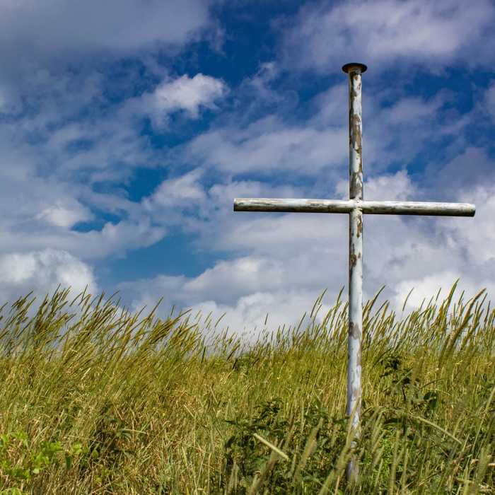 Near Huckleberry Knob Near Huckleberry Knob