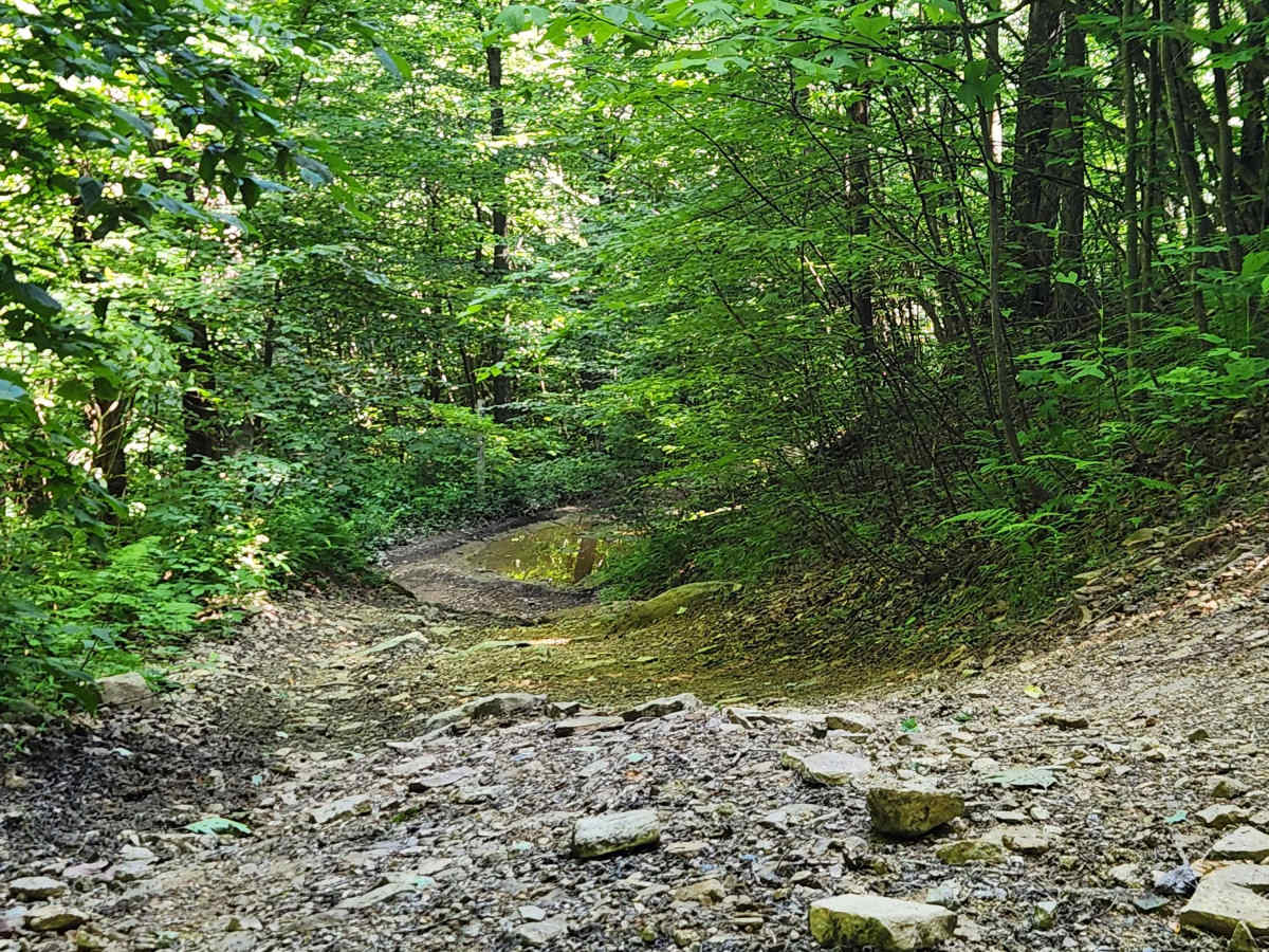 Trail 2B - Rock Run Recreation Area photo 3