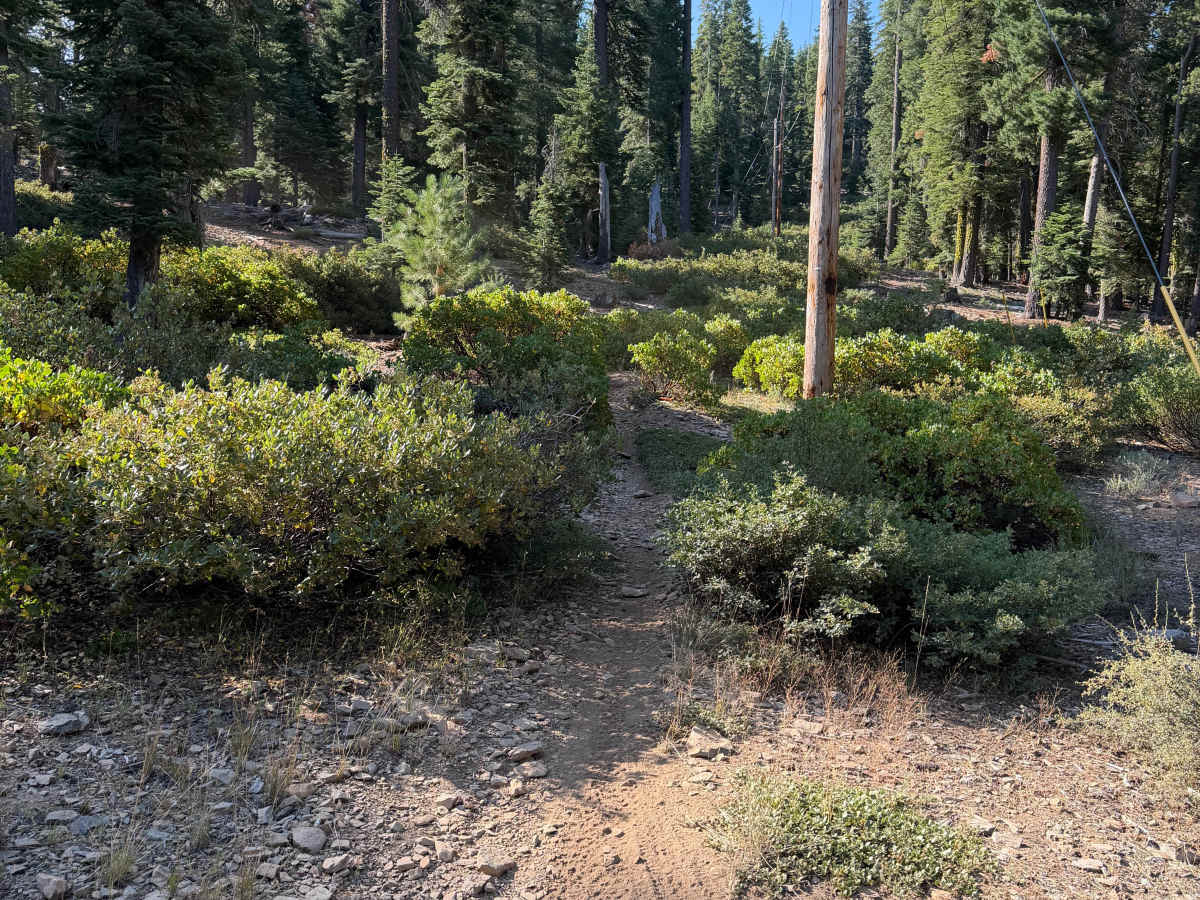06 Moto Trail photo 4