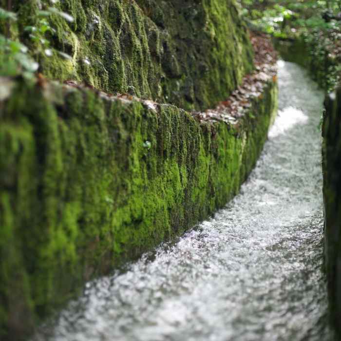 Near Oak Trail