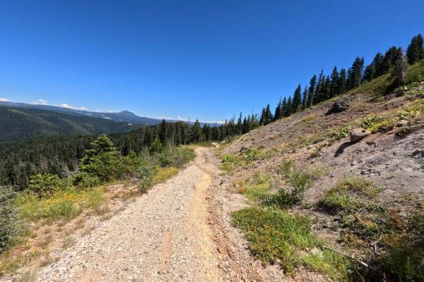 Fir Cap Trail - North Segment - 10E22