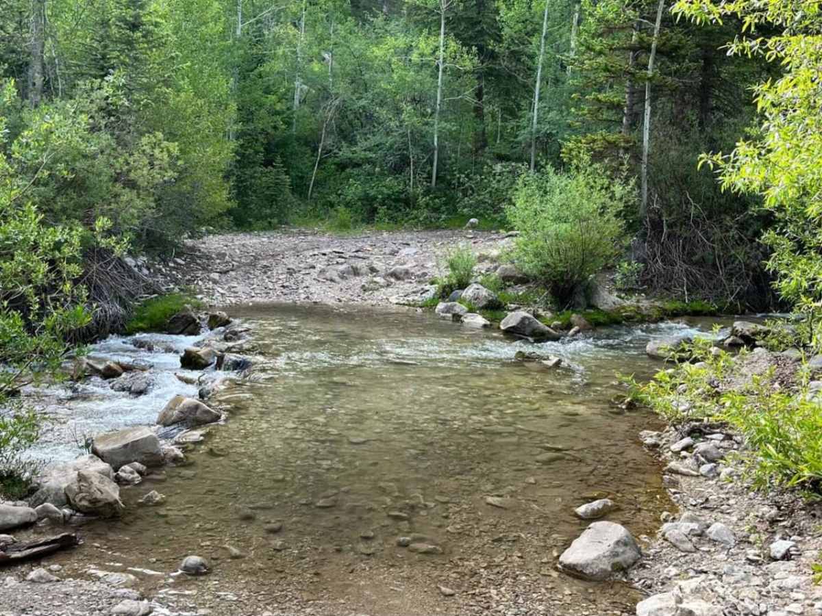 Green Springs Trail trail photo
