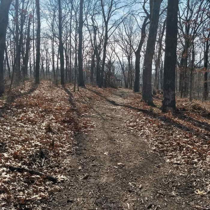 At the top, headed west towards Lone Elk Park Rd Near Turtle Bob's Trail