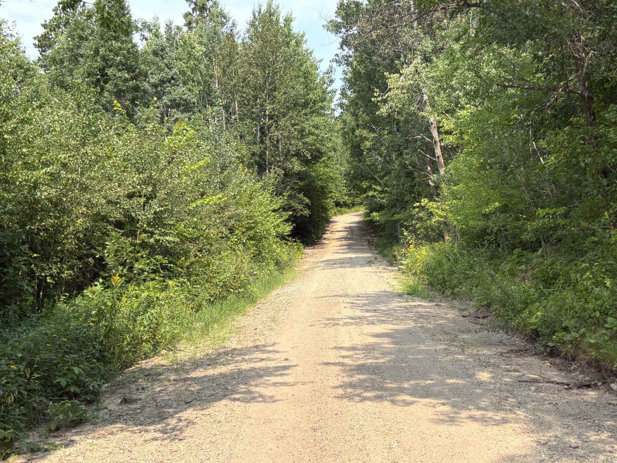 Small Lake Road photo 6