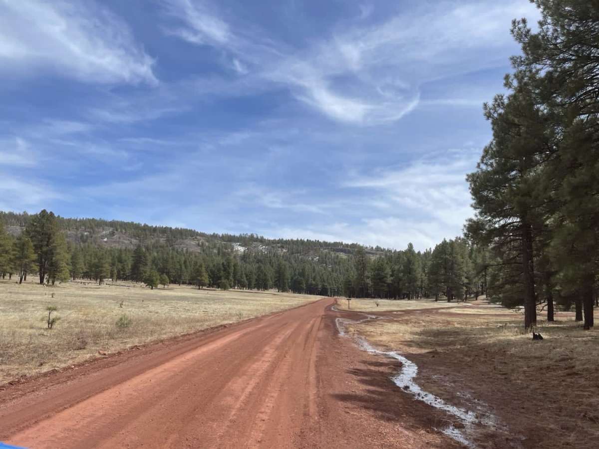Old 354 Road to Pine Flats photo 6