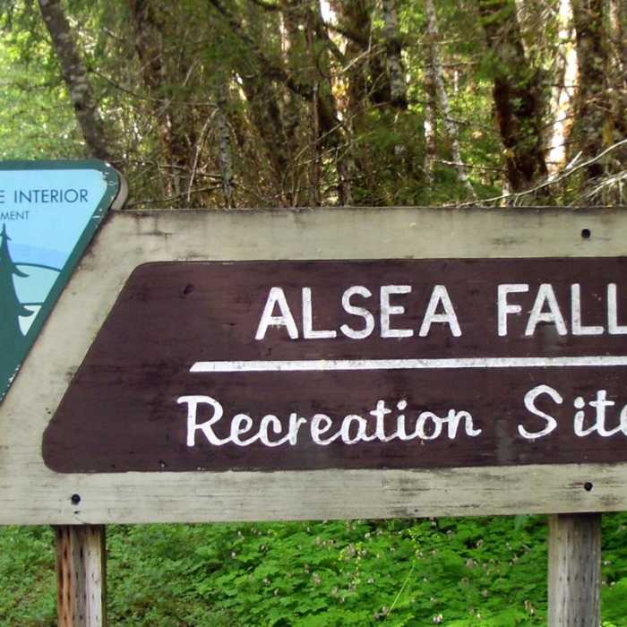 Near Alsea Falls Recreation Area
