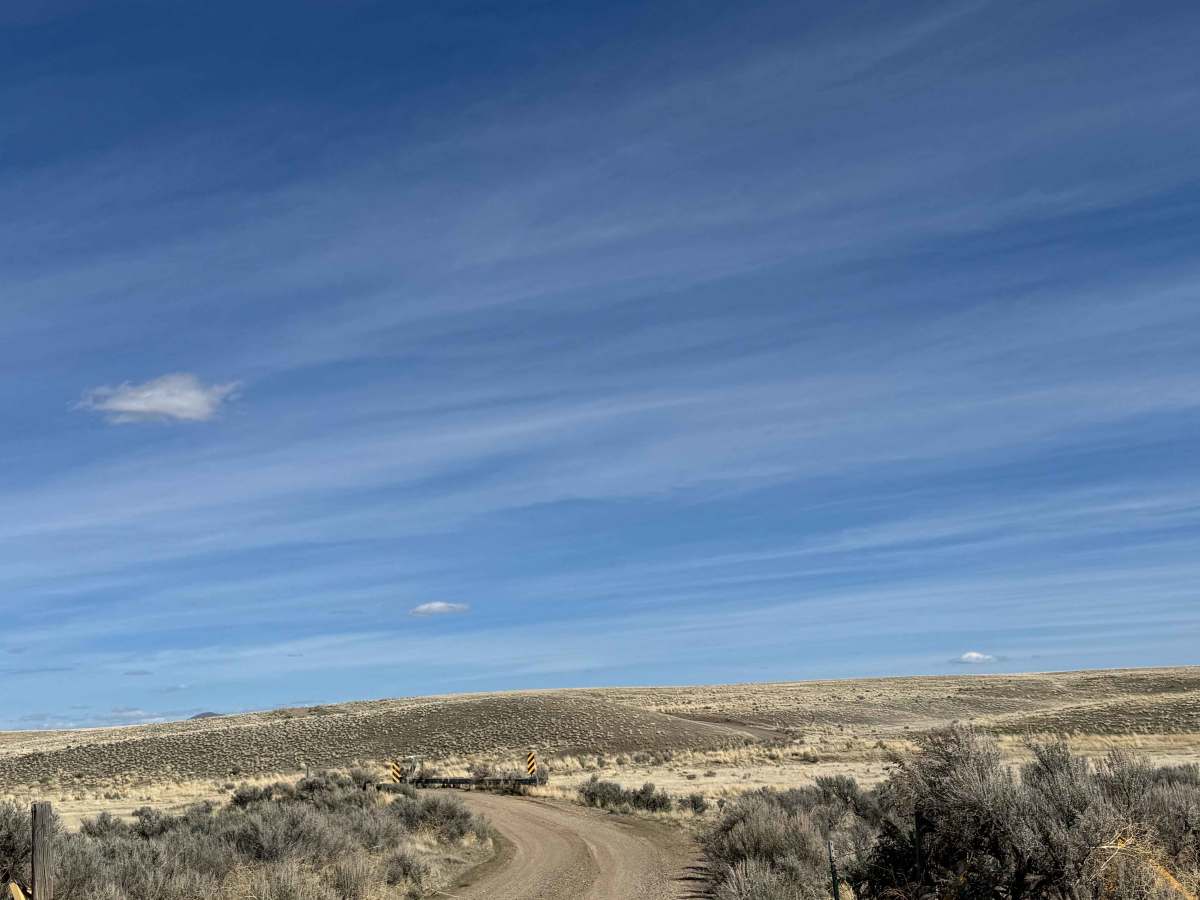 Four Mile Creek Road photo 2