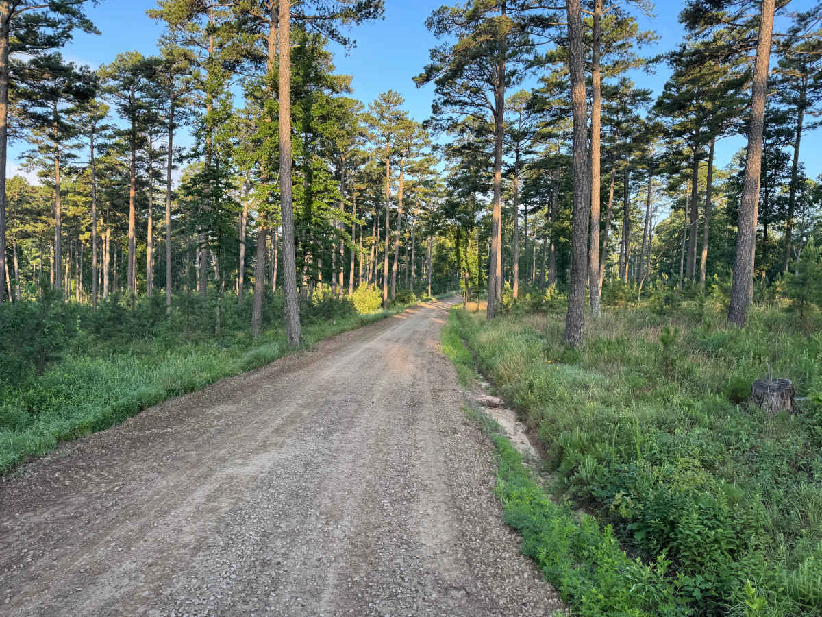 County Road 5419 photo 5