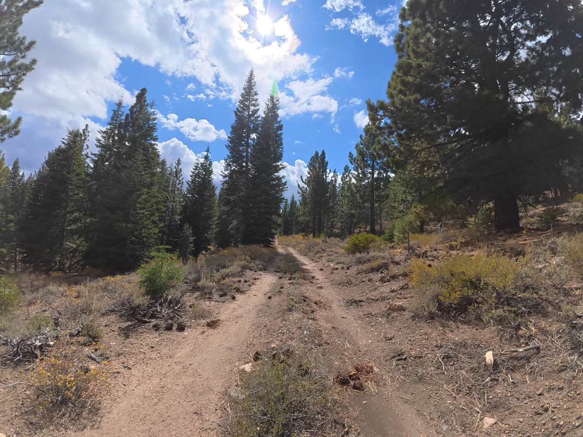 Creek Road Spur F photo 4