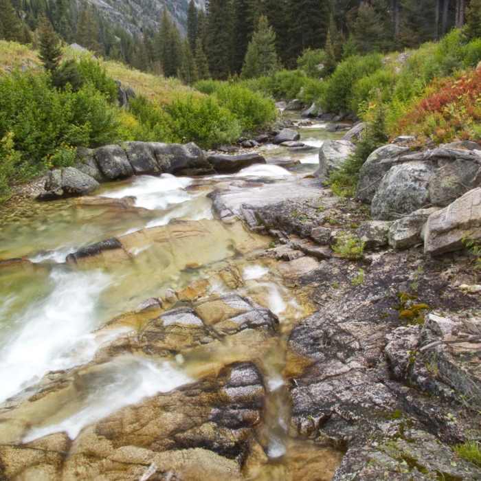 Near Queens River Trailhead to Queens River Falls + Nanny Creek