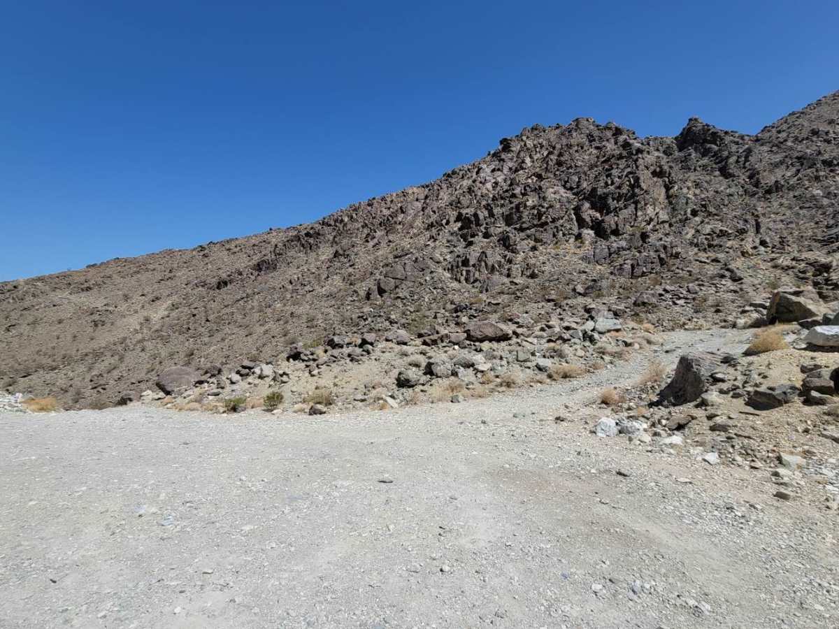 The Reward Mine photo 6