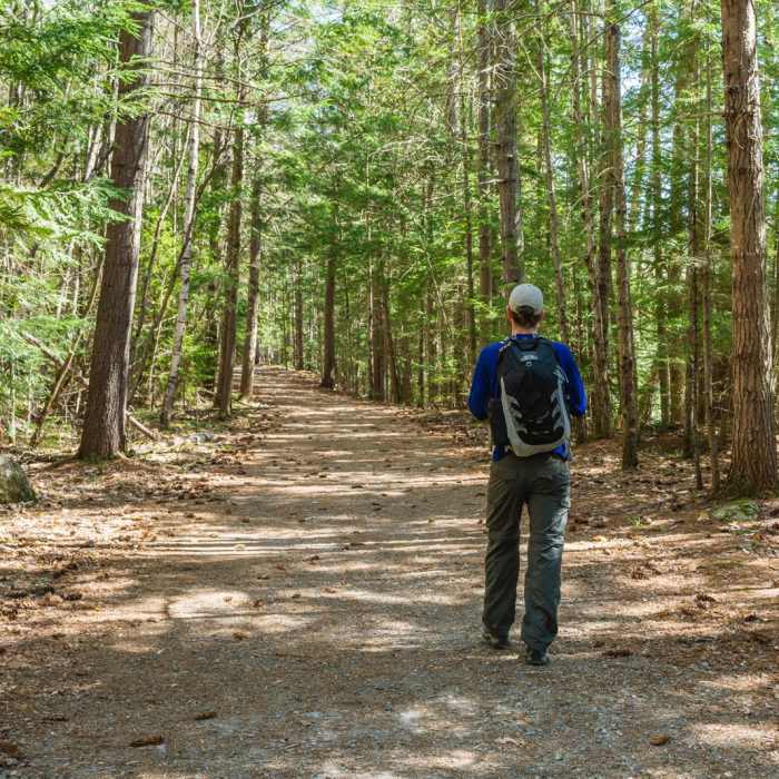 Near Lincoln Woods Trail Near Lincoln Woods Trail