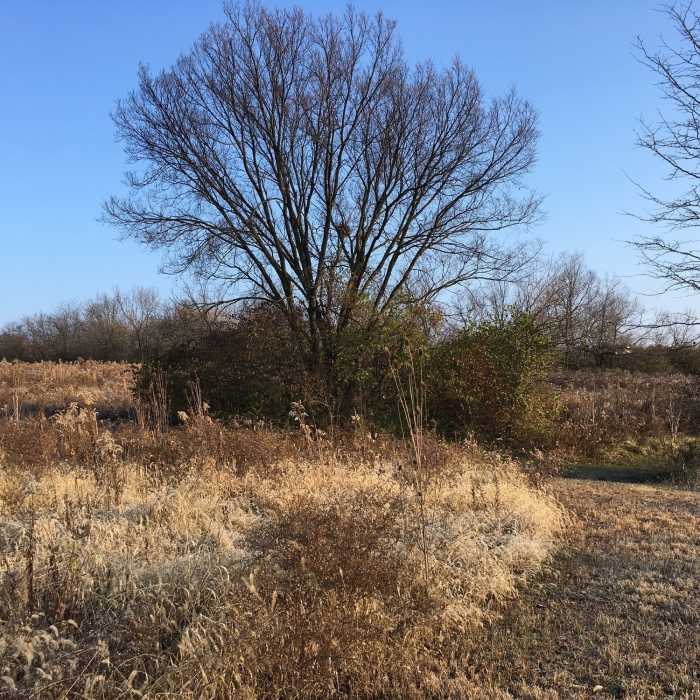 Near Keever Trails