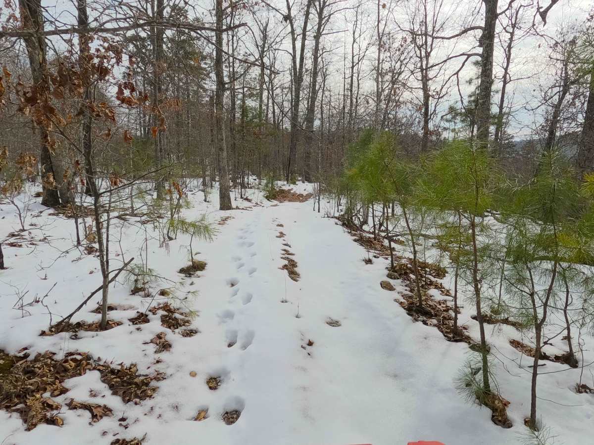 Sutton Bluff ATV 18 - SB 18 photo 3
