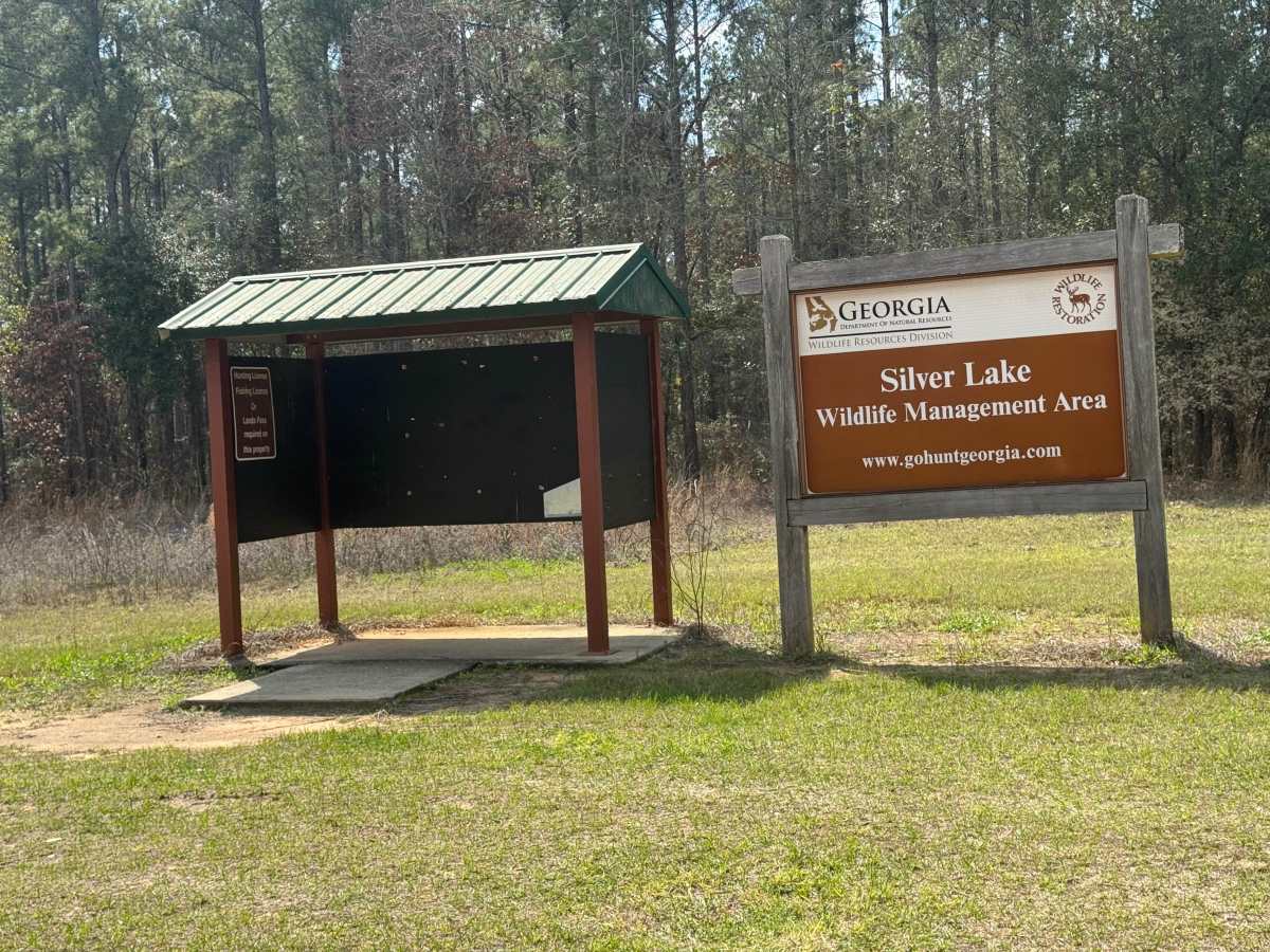 East Entrance Trail photo 4