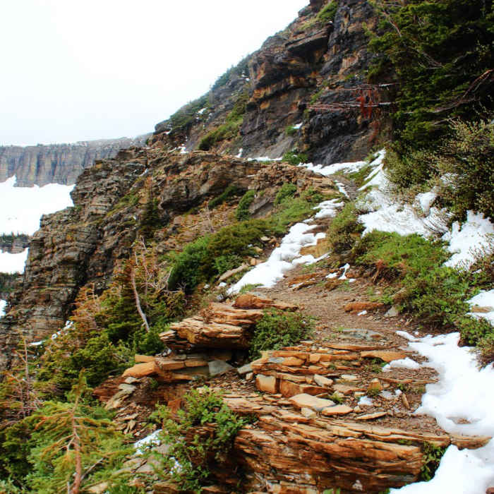 Near Triple Divide Pass Out-and-Back