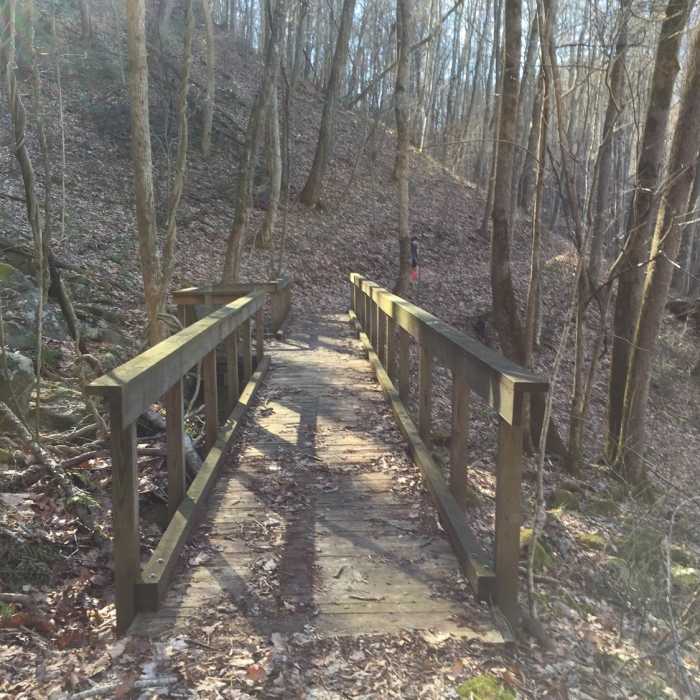 Near Gold Branch