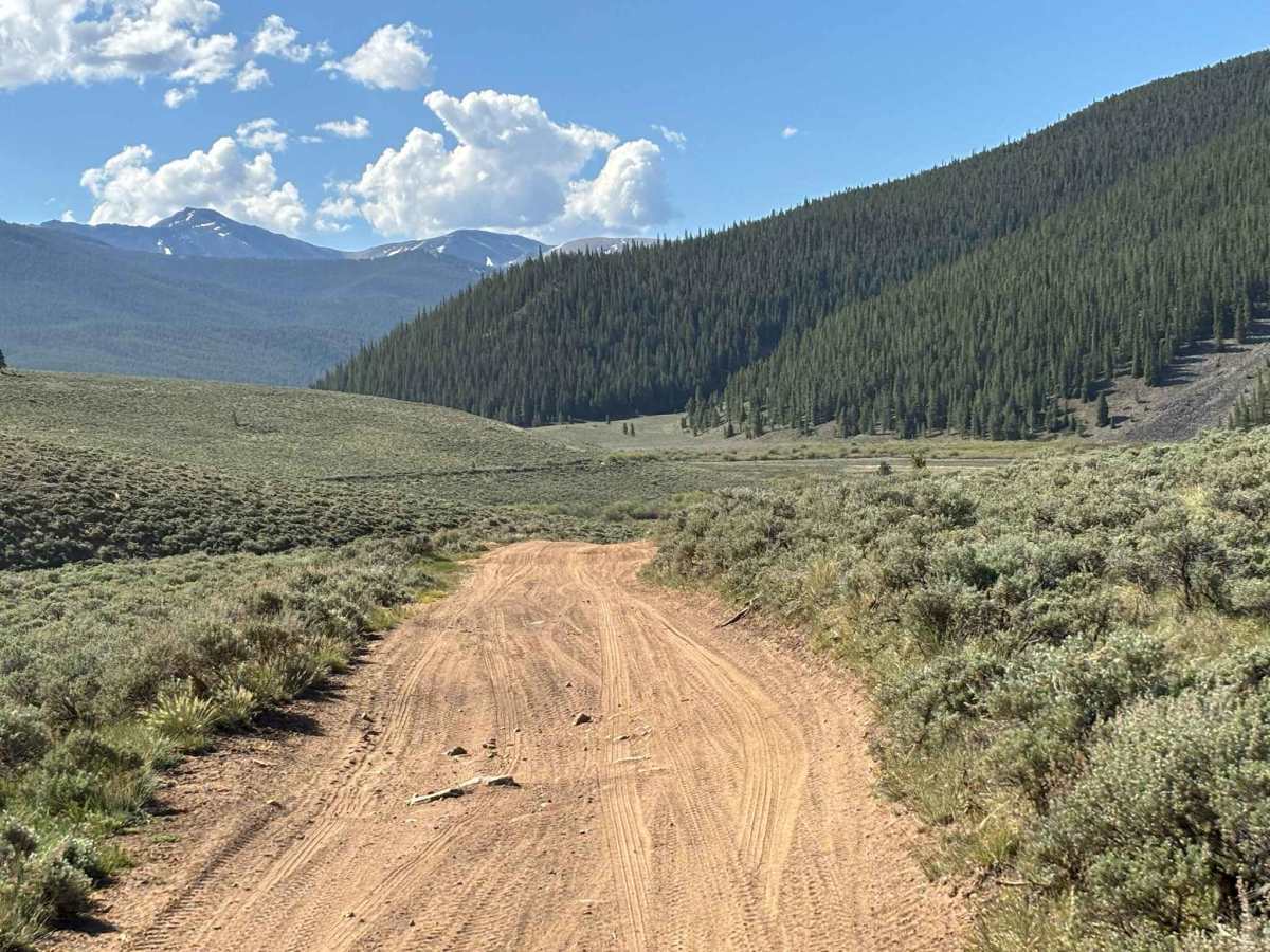 Cow Creek Connector Road photo 4