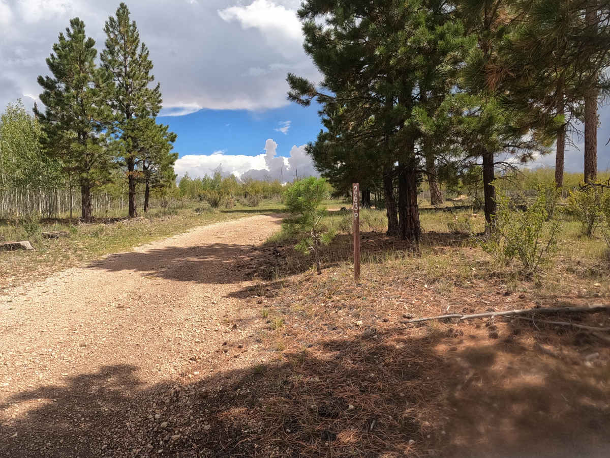 FS 263P trail photo