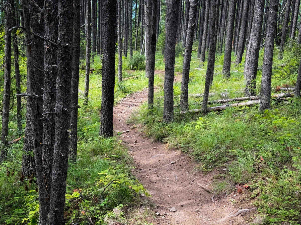 Ruftac Trail 146   photo 5