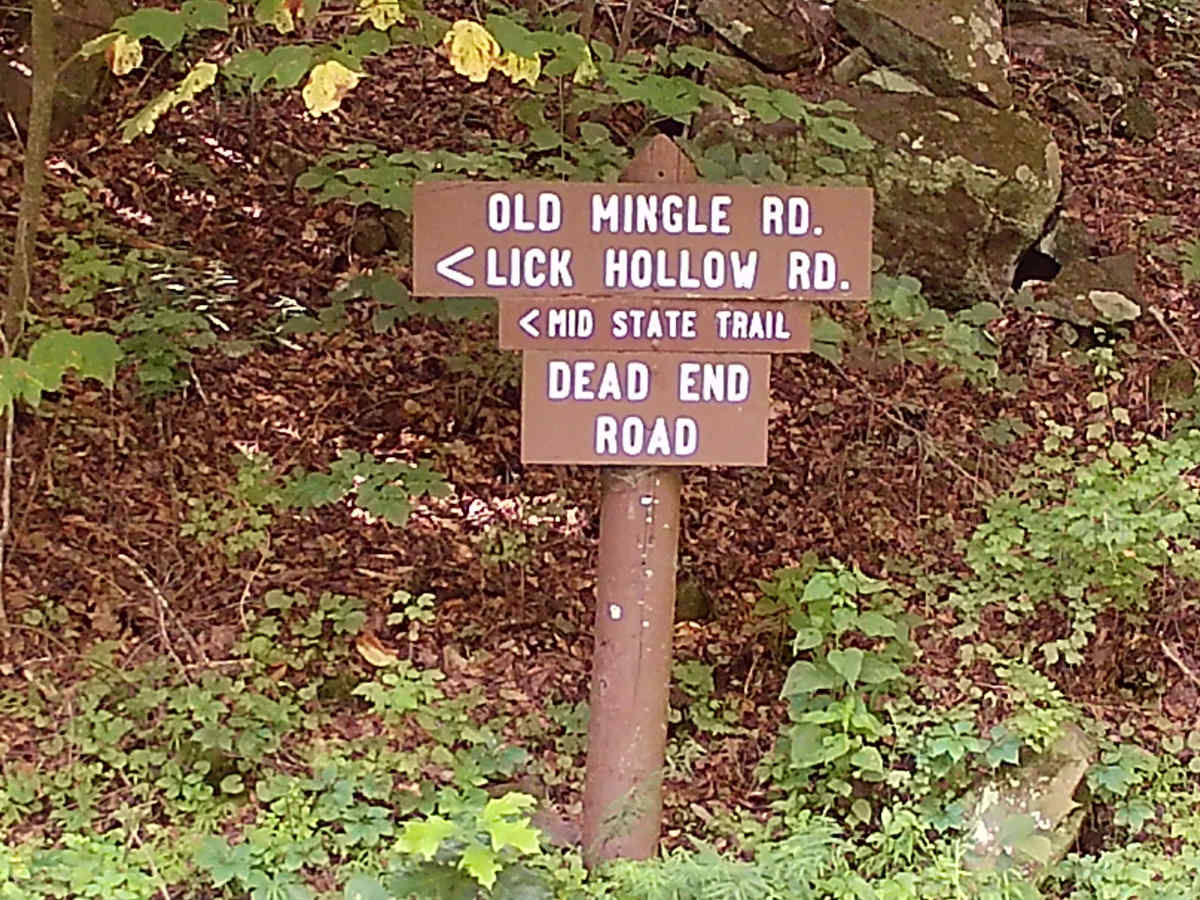 Old Mingle road trail photo