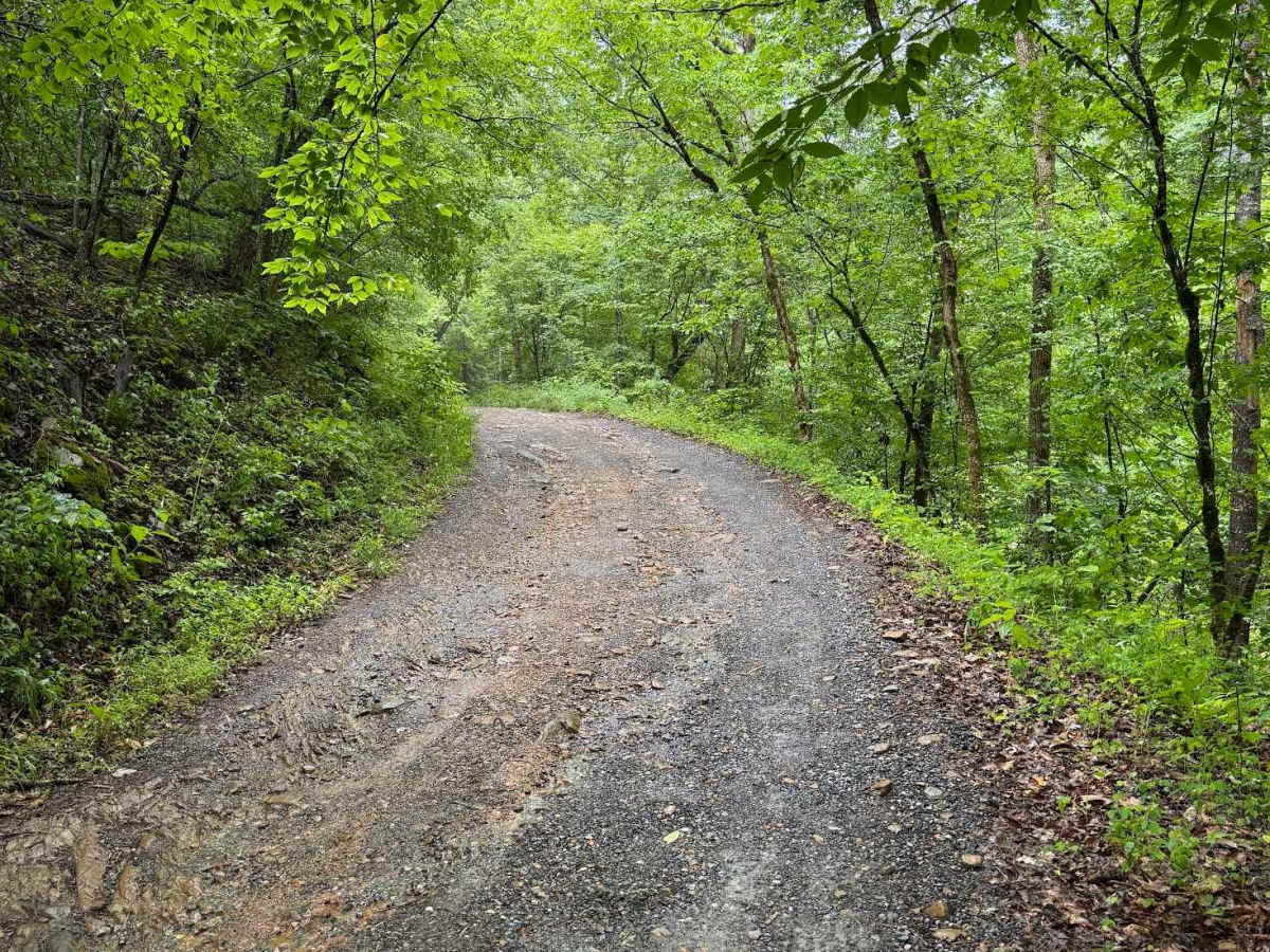 Gilmore Hollow photo 3