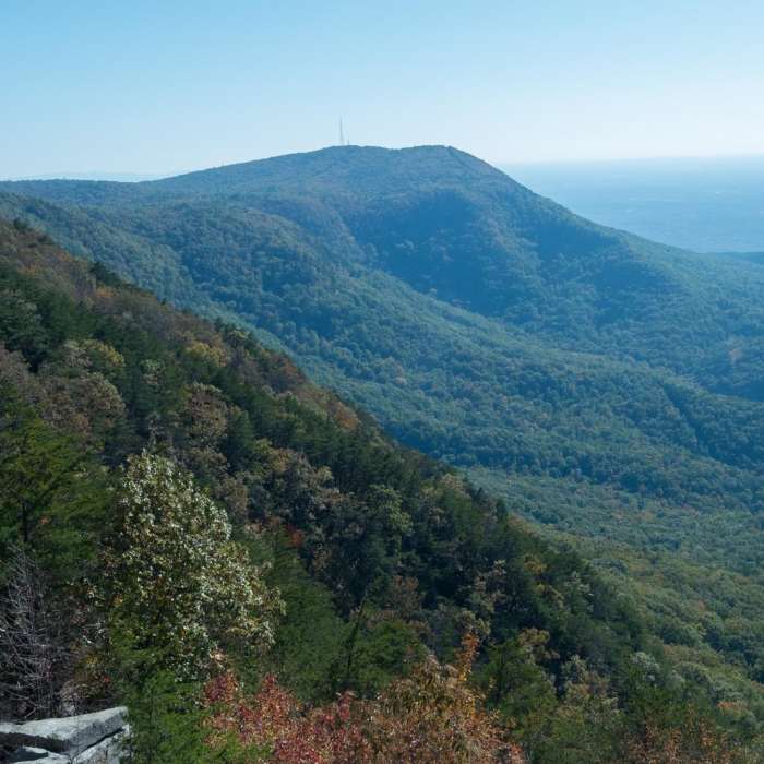 Near Stone Tower + West Overlook Trails