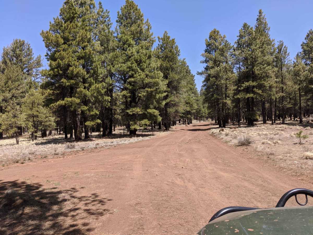 Burned Road photo 3