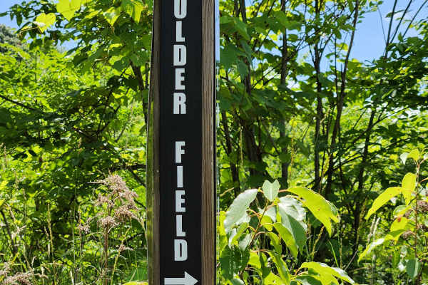 Boulder Field - Rock Run Recreation Area