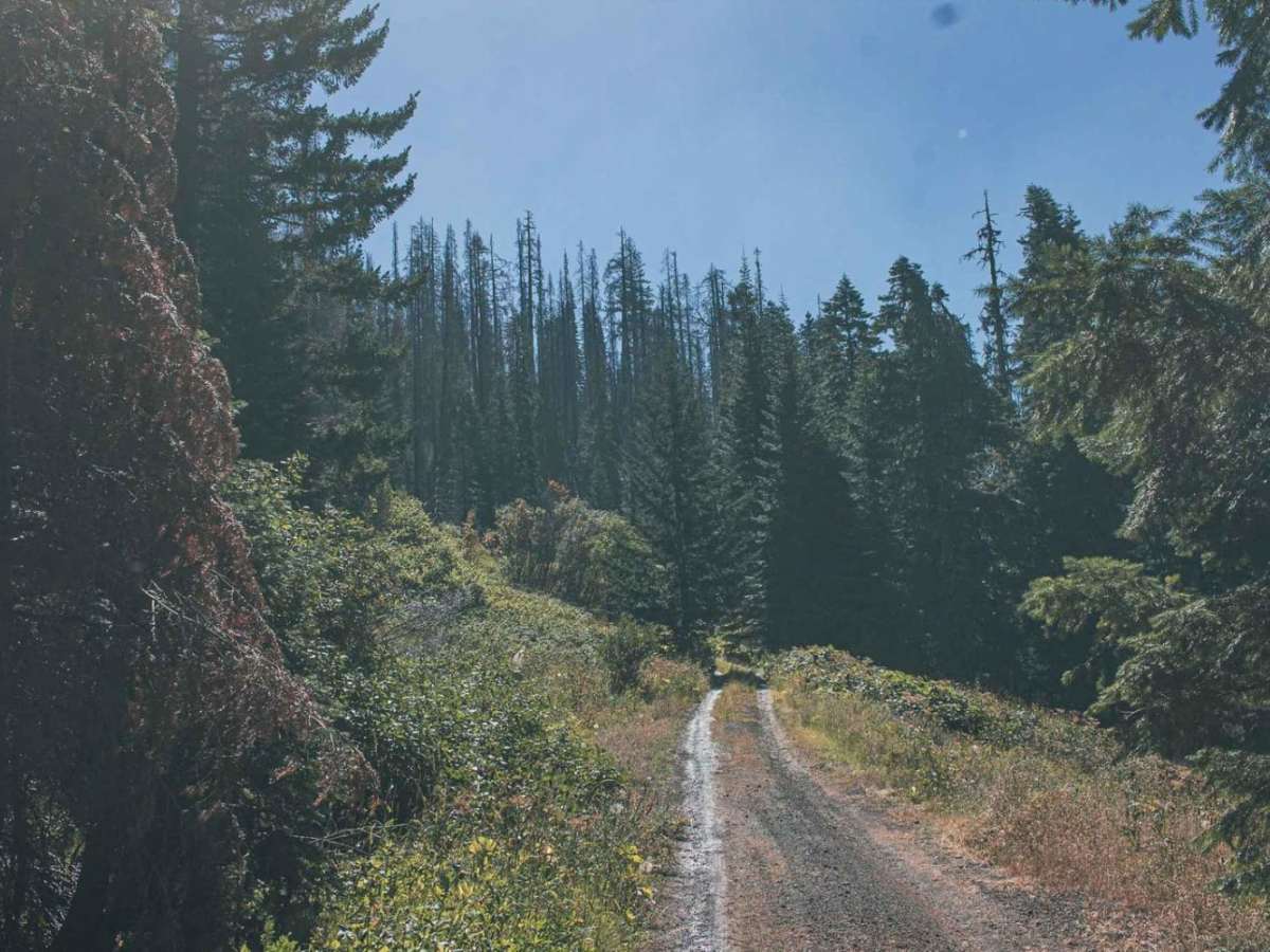 Doe Head Mountain photo 2