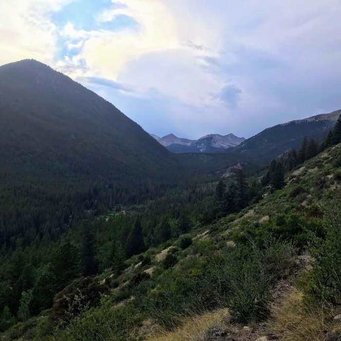Near Colorado Trail: Segment 12
