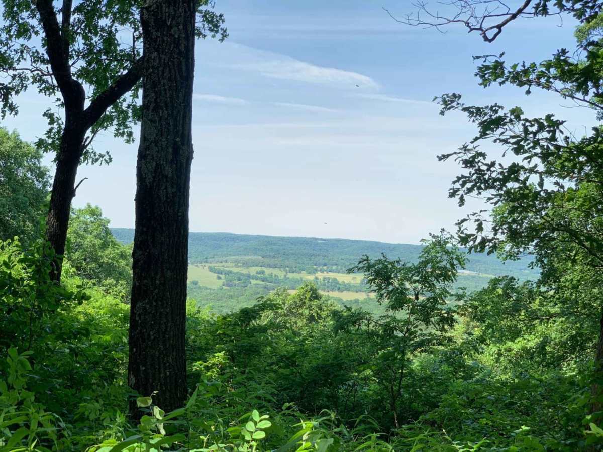 Mark Twain National Forest Scenic Drive photo 5