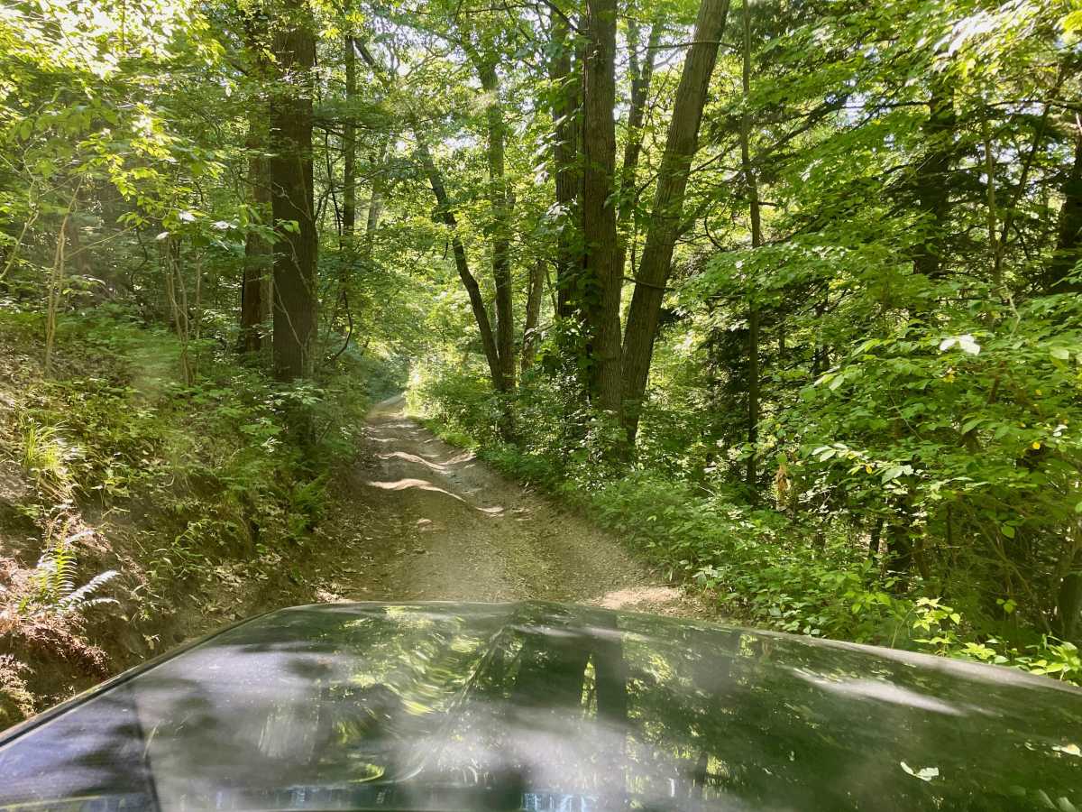 Big Dailey Hill Climb photo 2