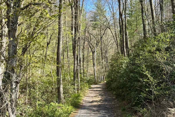 Stillhouse Hollow Rd