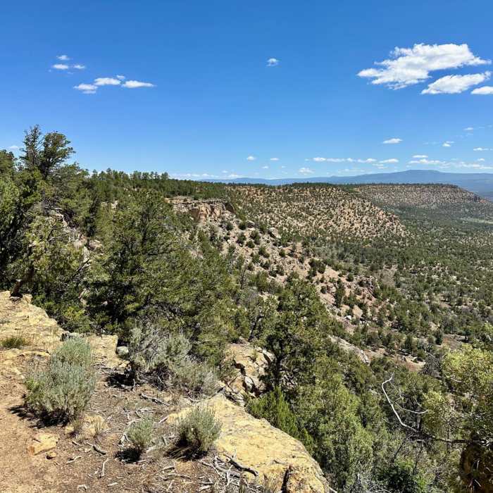 Near CDT: New Mexico Section 27