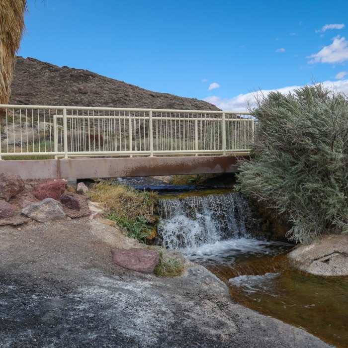 Near Rogers Spring Overlook