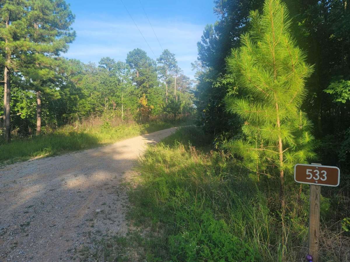 533 - Vaughn Road trail photo