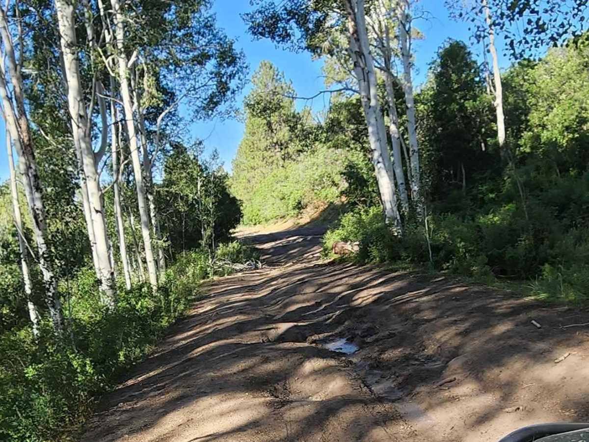 Railroad Grade photo 6