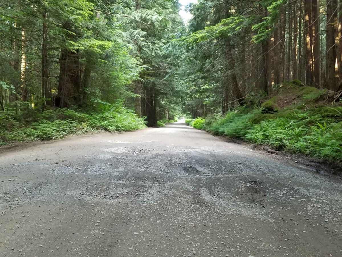 Tinkham Road (NF-55) trail photo