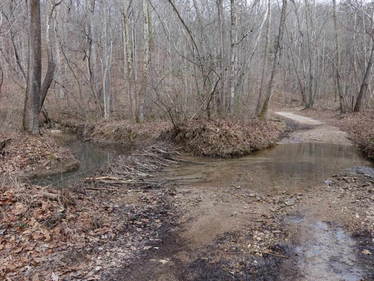 Lost Creek & Clear Creek trail photo