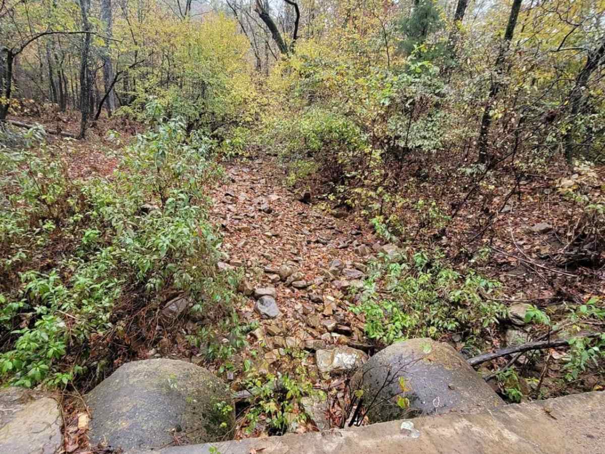 Hunt for Old Foundation photo 5