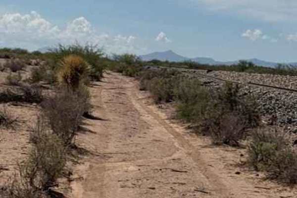 BLM SS1016