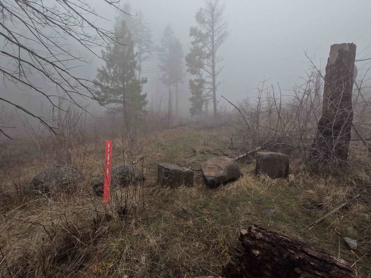 Tarpiscan Road Spur photo 6