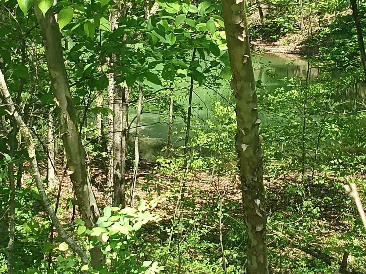 Township Highway NR2 photo 4